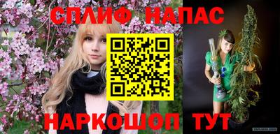 мдпв Дубна