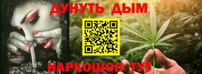 мдпв Дубна