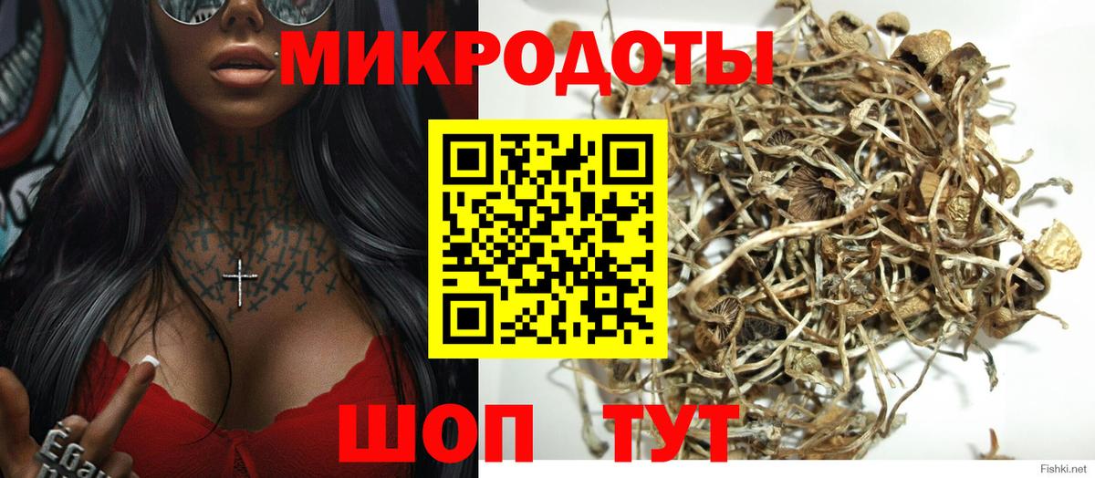 Псилоцибиновые грибы мицелий Надым